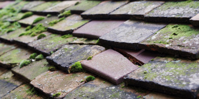 Highams Park roof repair costs